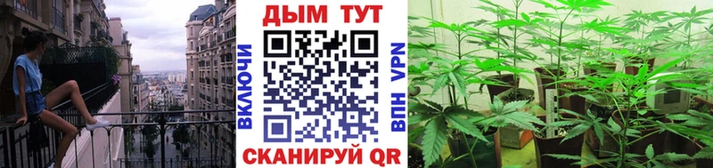Наркотические вещества Первомайск Псилоцибиновые грибы А ПВП Меф Канабис